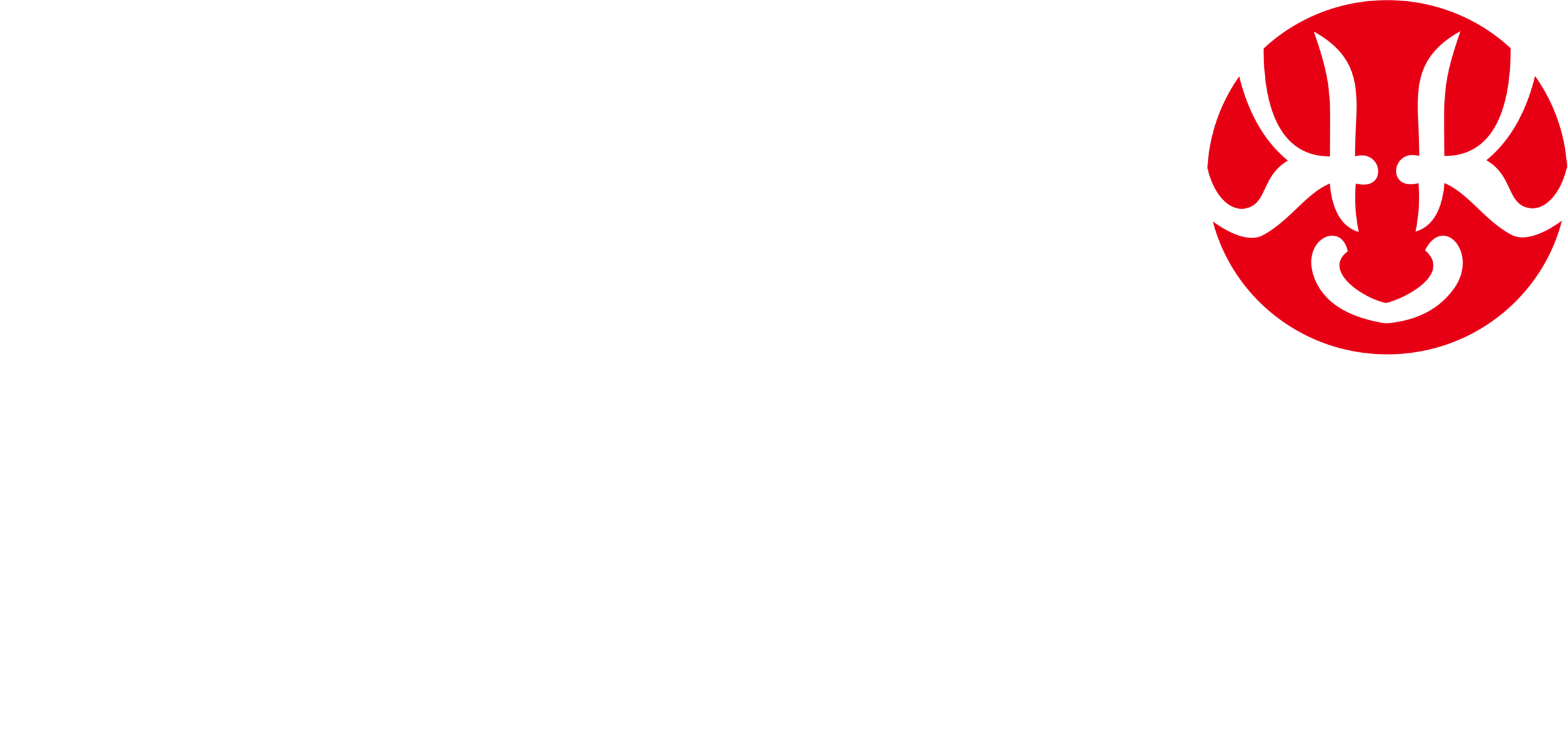 Logo White